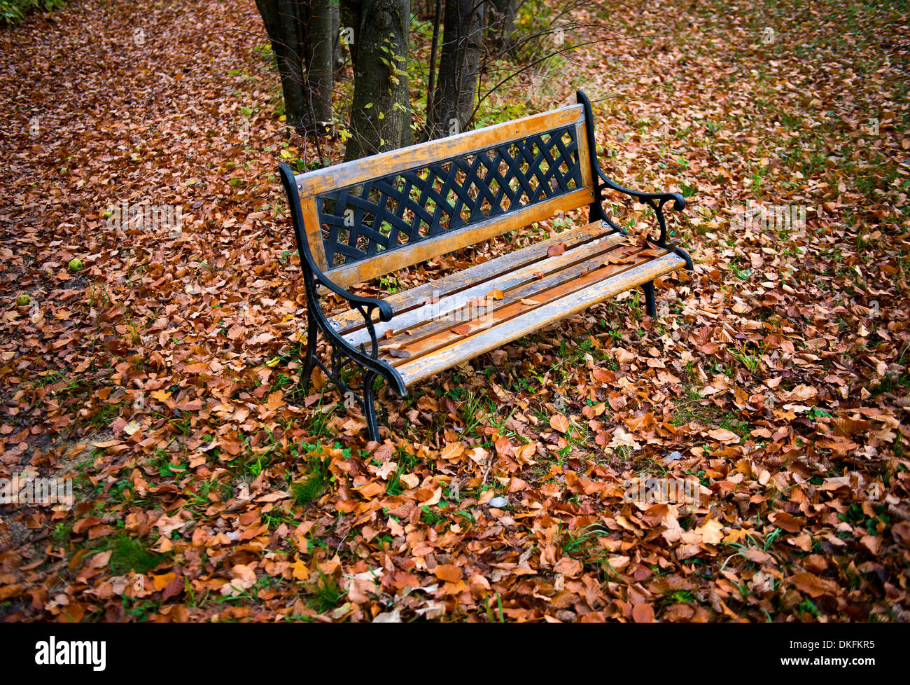 Parkbank im Herbstlaub Stockfoto