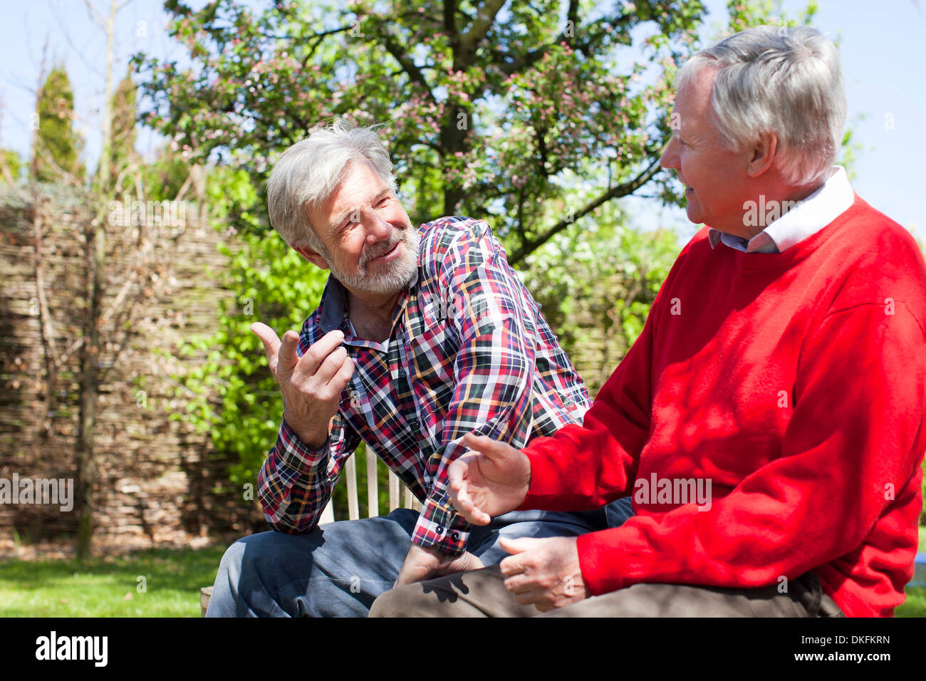 Zwei ältere männliche Freunde tallking Stockfoto