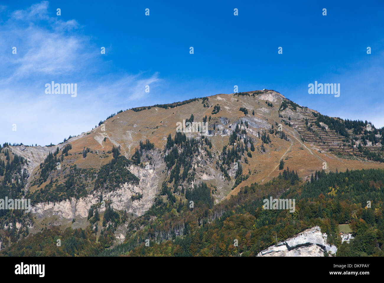 herbstliche Landschaft im Berner Oberland, Kanton Bern, Schweiz Stockfoto