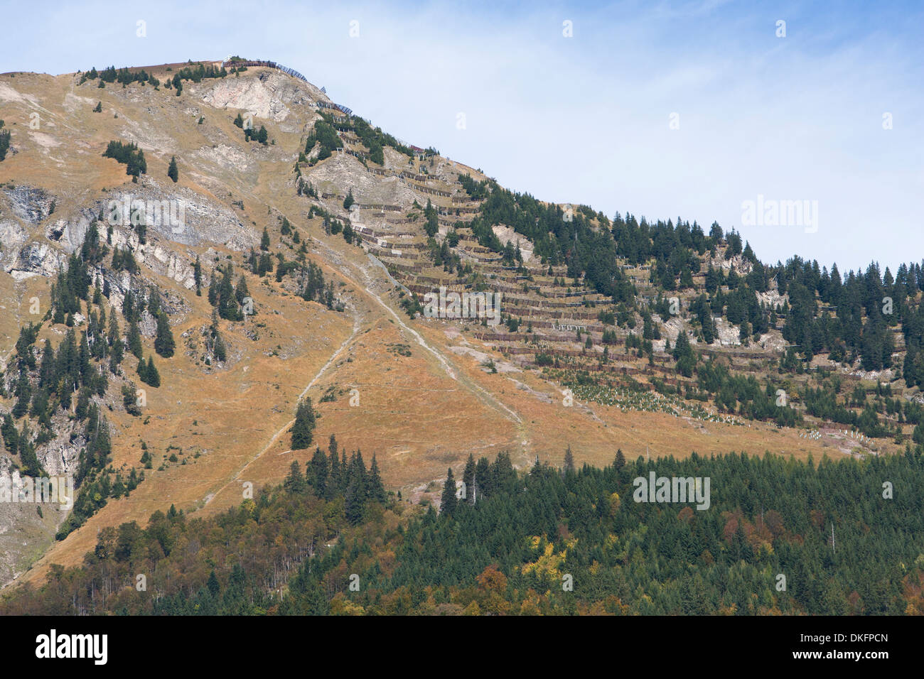 herbstliche Landschaft im Berner Oberland, Kanton Bern, Schweiz Stockfoto