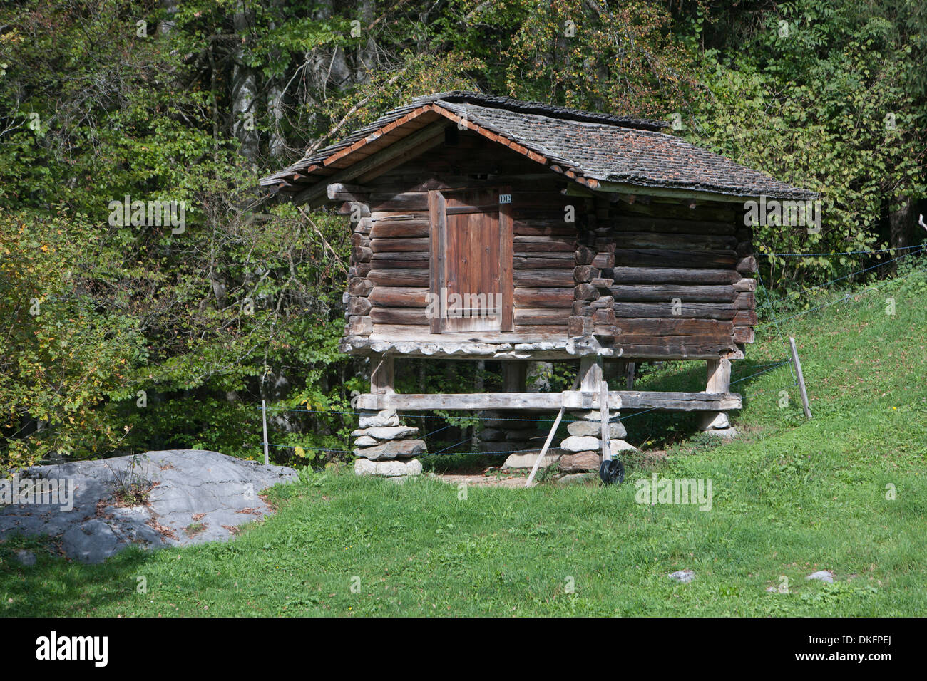 Freilichtmuseum Ballenberg, Berner Oberland, Kanton Bern, Schweiz Stockfoto