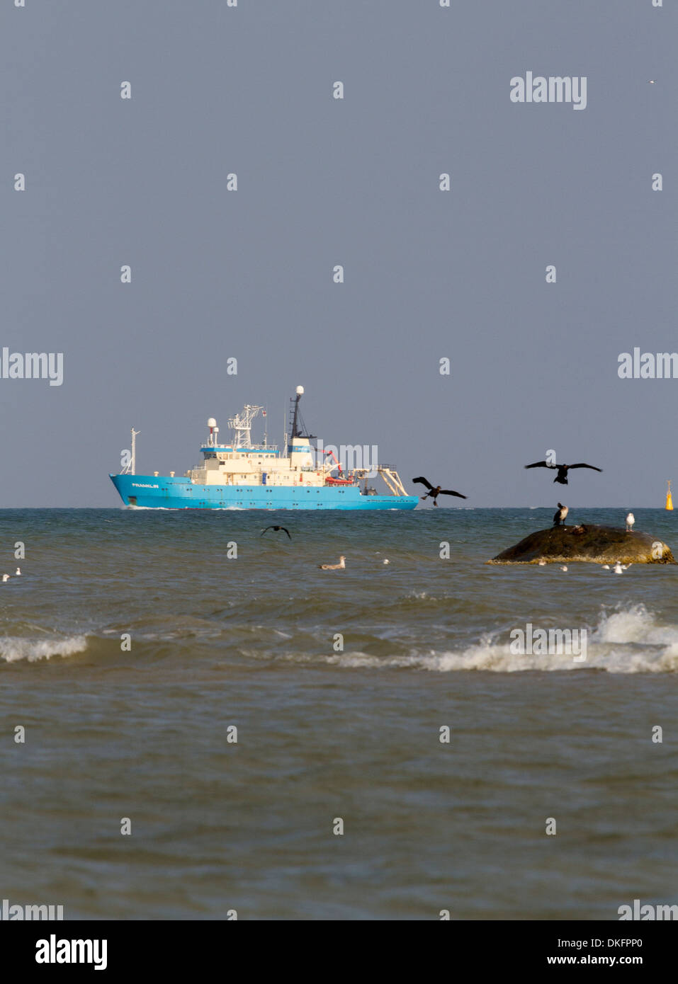 Die Umfrage und ROV Schiff M/V Franklin vor Hirtshals, Dänemark Stockfoto
