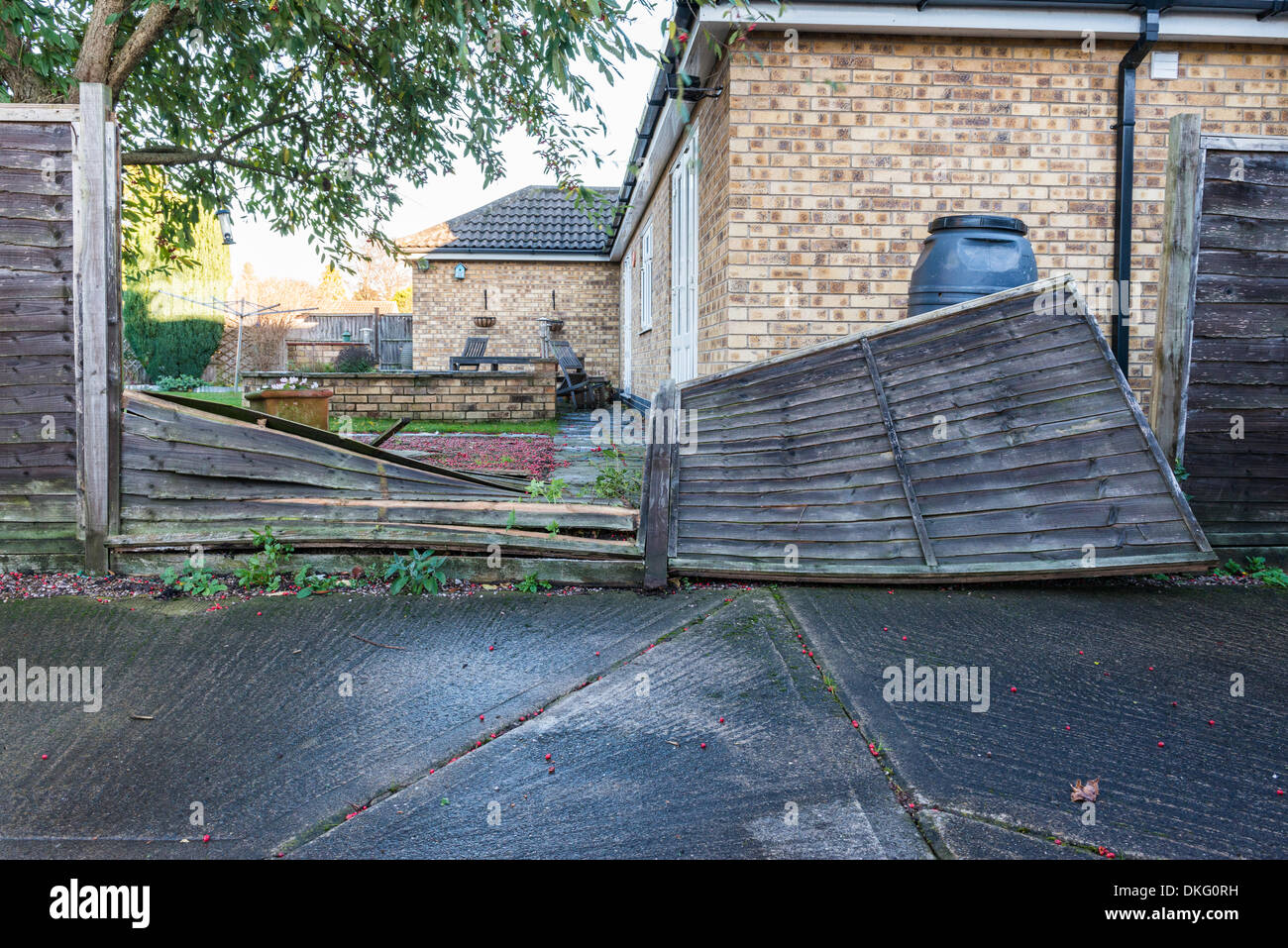 Eine Partei aus Holz Gartenzaun im Sturm Sturm umgeweht zwingen Winde im Norden Britanniens. Versicherungs- und Wetter Konzept Konzeptbild Stockfoto