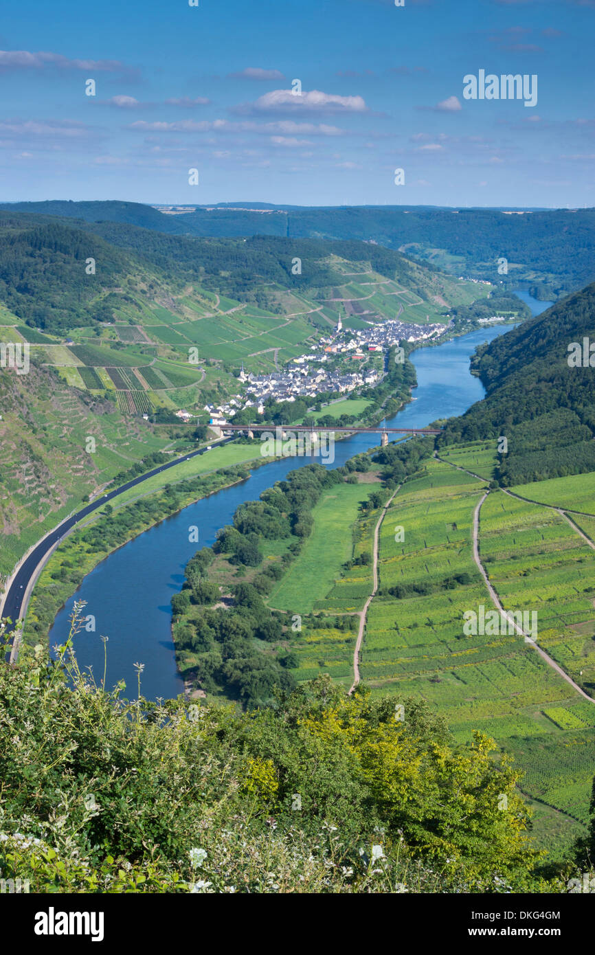 Moseltal in der Nähe von Bremm Dorf, Rheinland-Pfalz, Deutschland, Europa Stockfoto