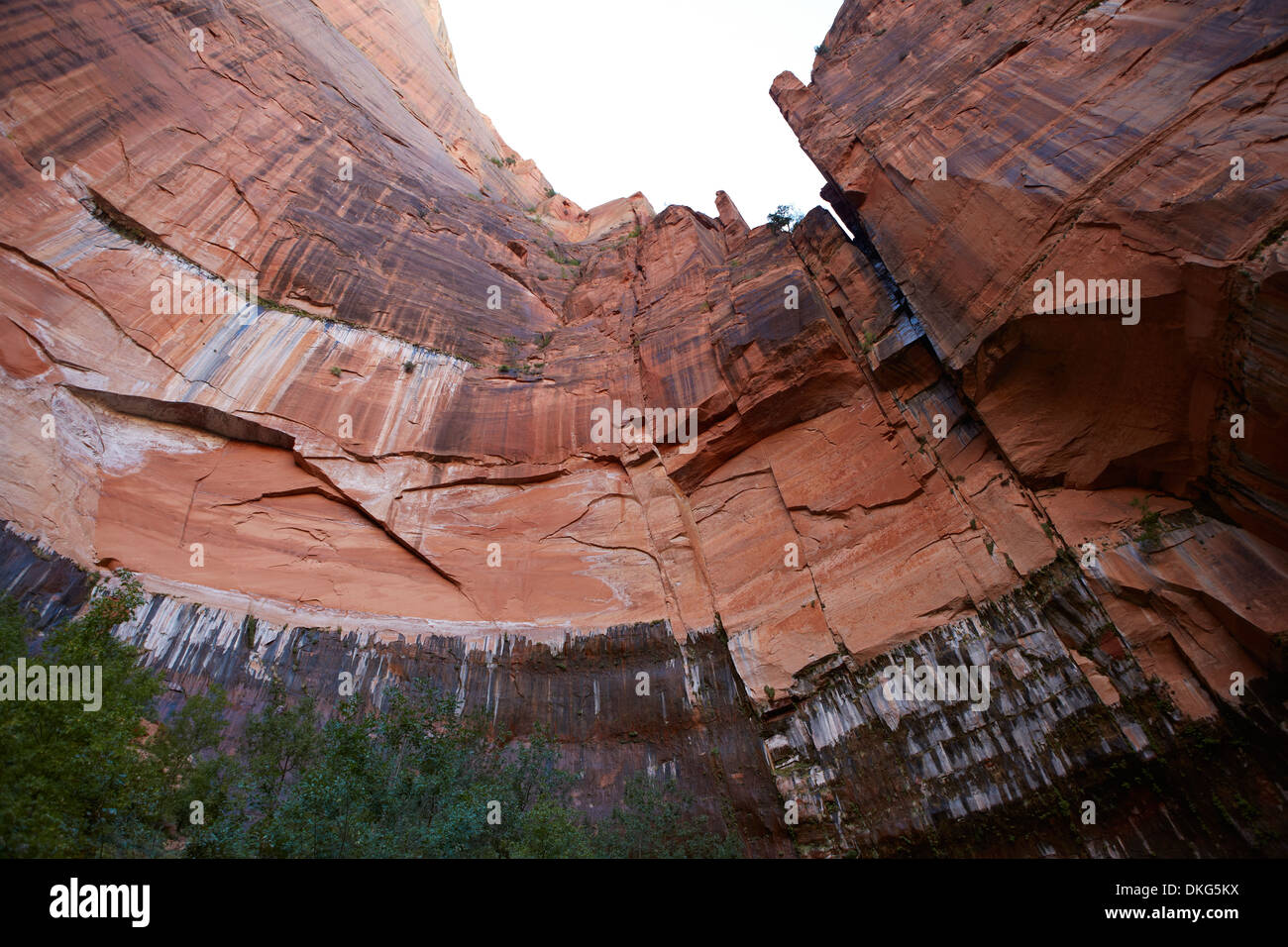 Nachschlagen von Angels Landing Trailhead, Zion Nationalpark, Utah, USA Stockfoto