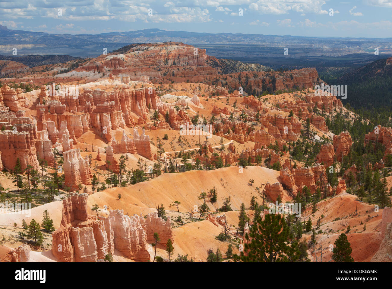 Bryce-Canyon-Nationalpark, Utah, USA Stockfoto