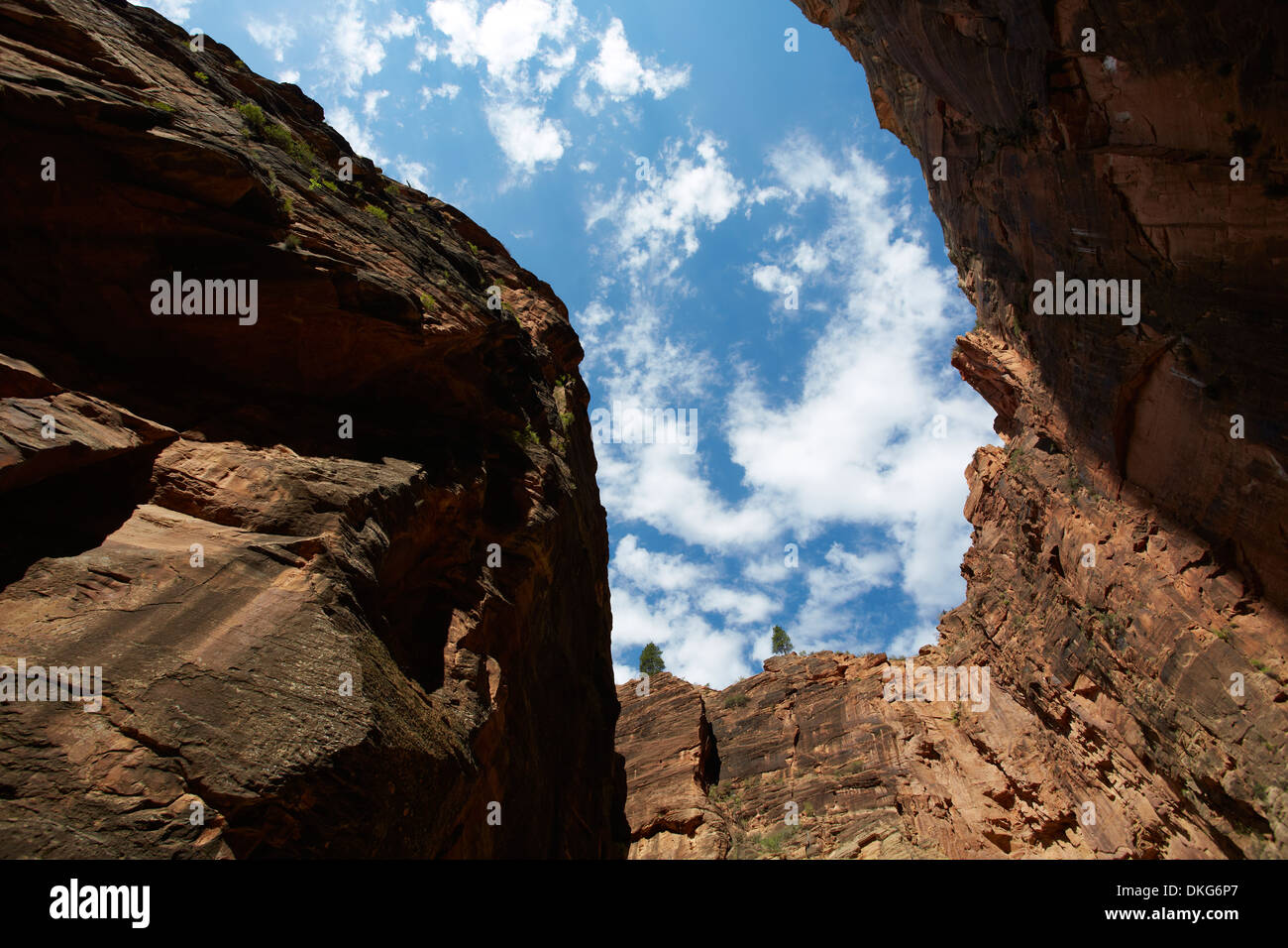 Jungfrau verengt sich nach oben, Zion Nationalpark, Utah, USA Stockfoto