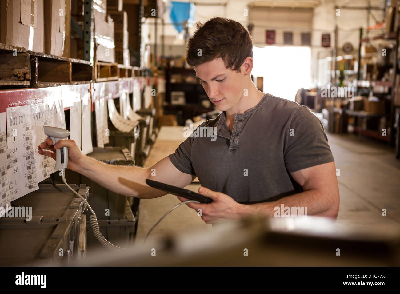 Arbeiter im Lager Scannen von Barcodes auf Karton Stockfoto