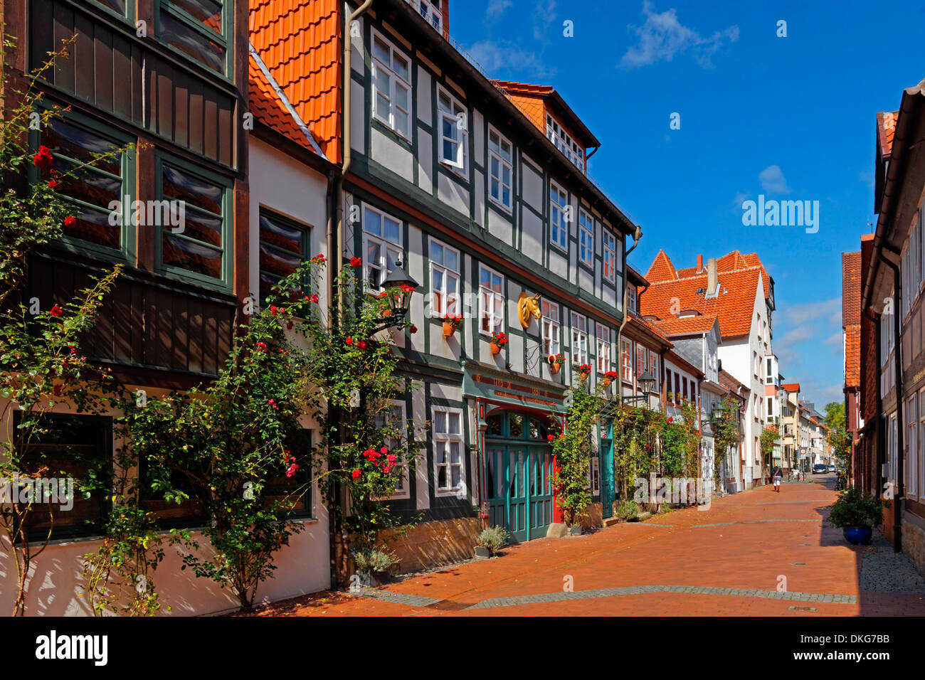 Fachwerkhaus, Hildesheim, Niedersachsen, Deutschland, Europa Stockfoto