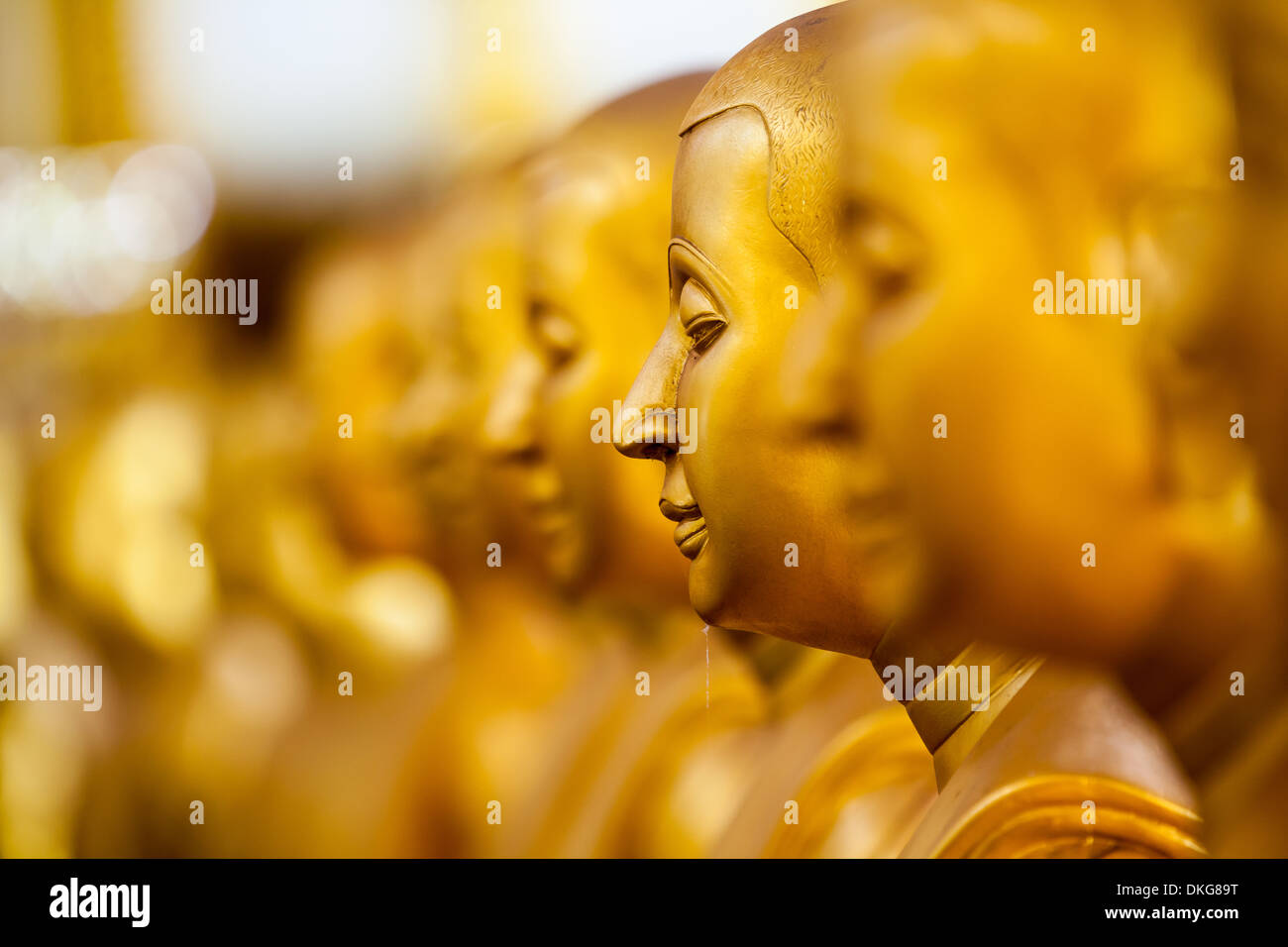 Buddha in einer Reihe Stockfoto