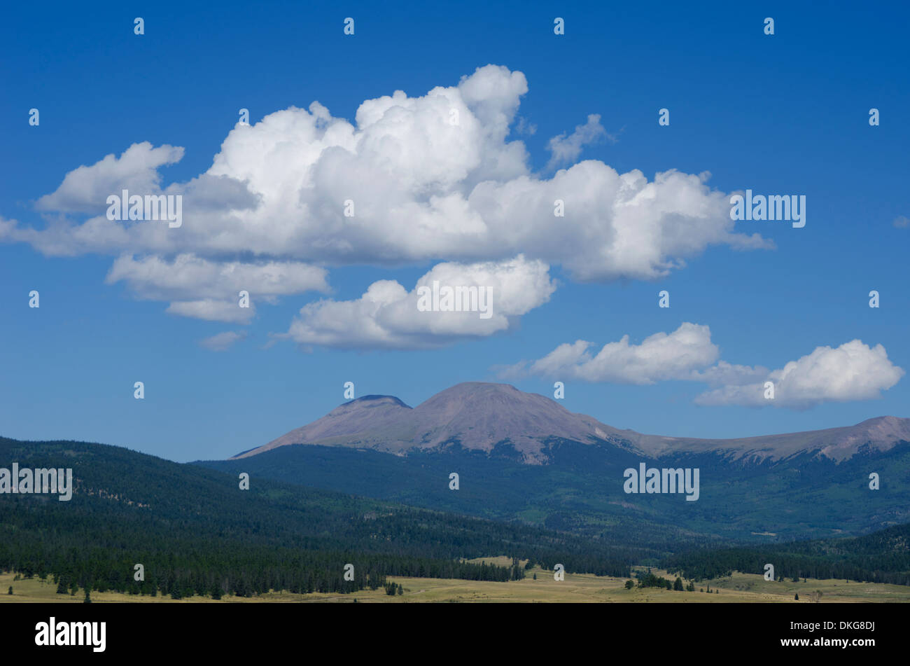 Buffalo-Gipfeln im Mosquito Range der Rocky Mountains, sieht glänzend an einem Spätsommertag. Stockfoto