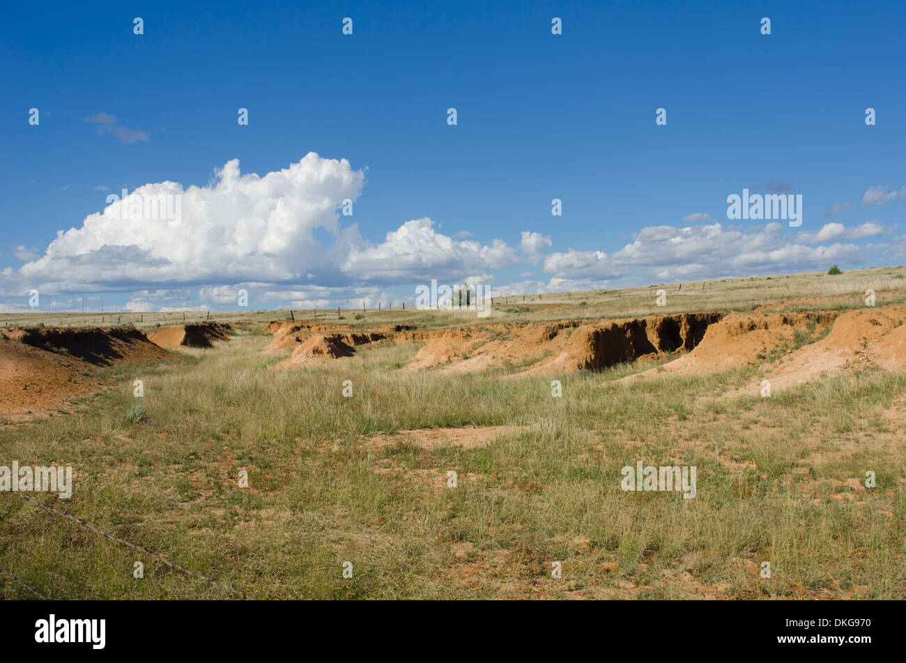 Eine historische Stück Land im nordöstlichen New Mexico ist die Website von vielen alten Wagen Spurrillen aus dem Santa Fe Trail. Stockfoto
