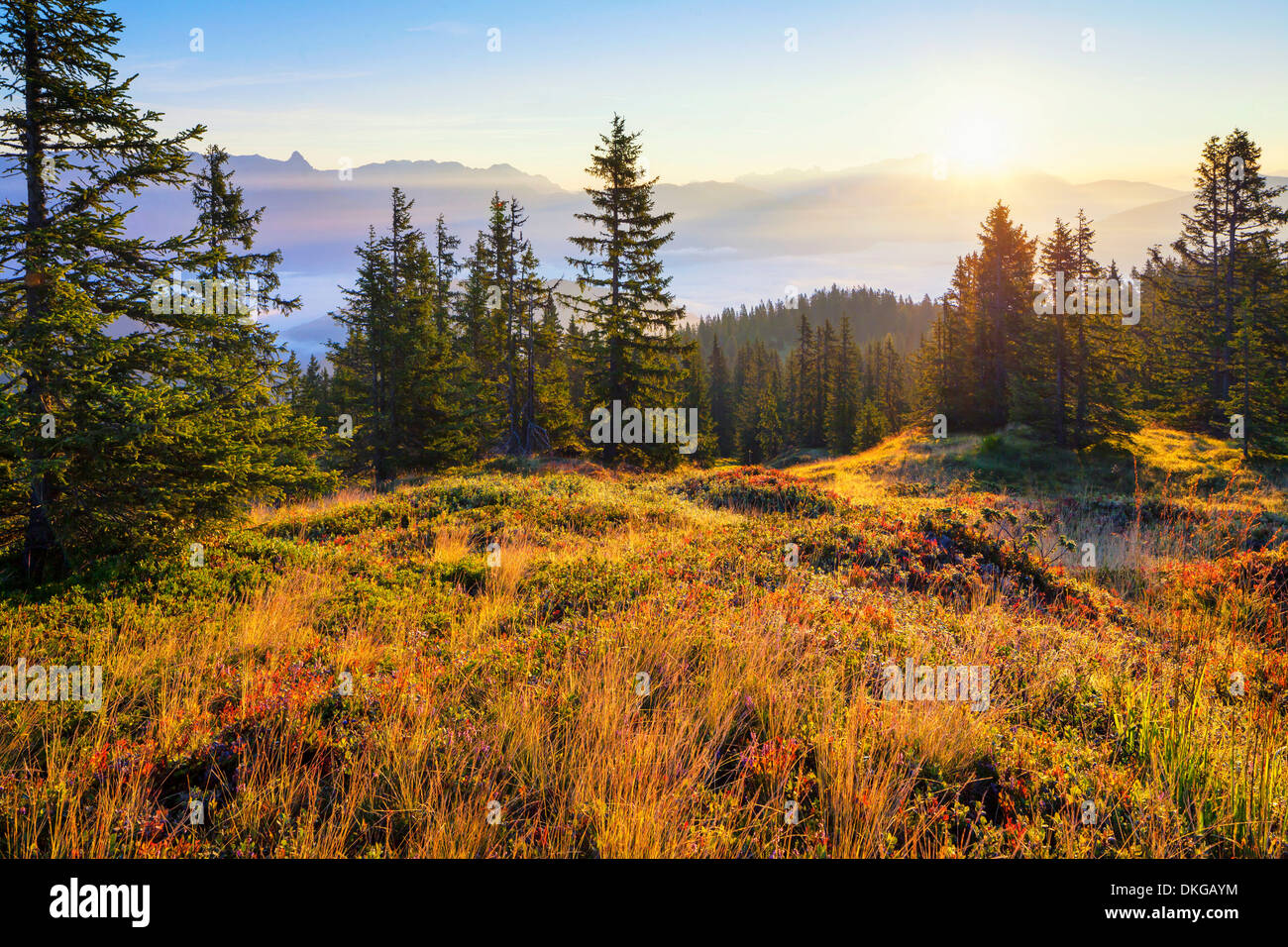 Sonnenaufgang am Hochkönig, Salzburger Land, Österreich Stockfoto