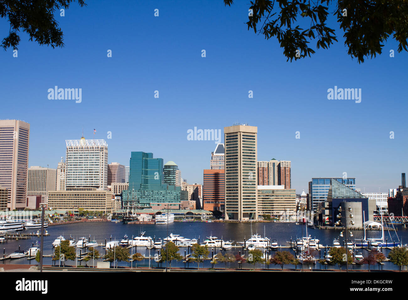 Skyline von Baltimore Stadt Innenstadt mit dem Innenhafen und Yacht Becken. Stockfoto