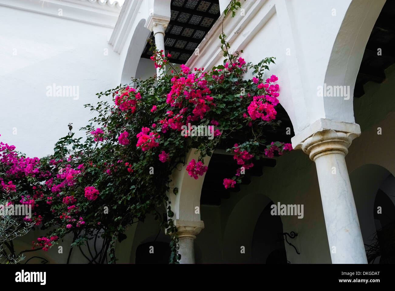 Typische weiße Haus in San Lúcar de Barrameda, Andalusien, Spanien Stockfoto