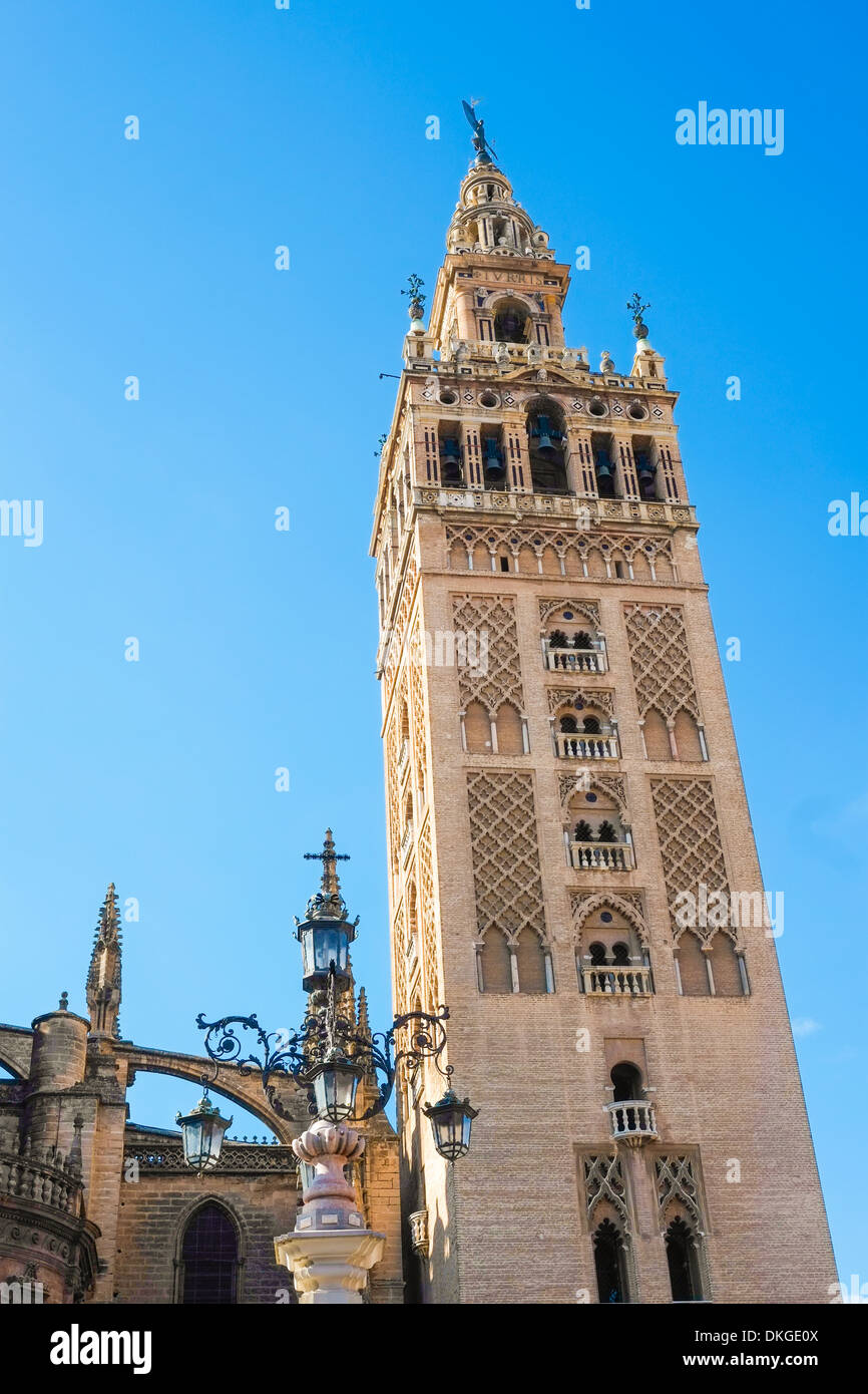 La Giralda Kathedrale in Sevilla, Andalusien, Spanien Stockfoto