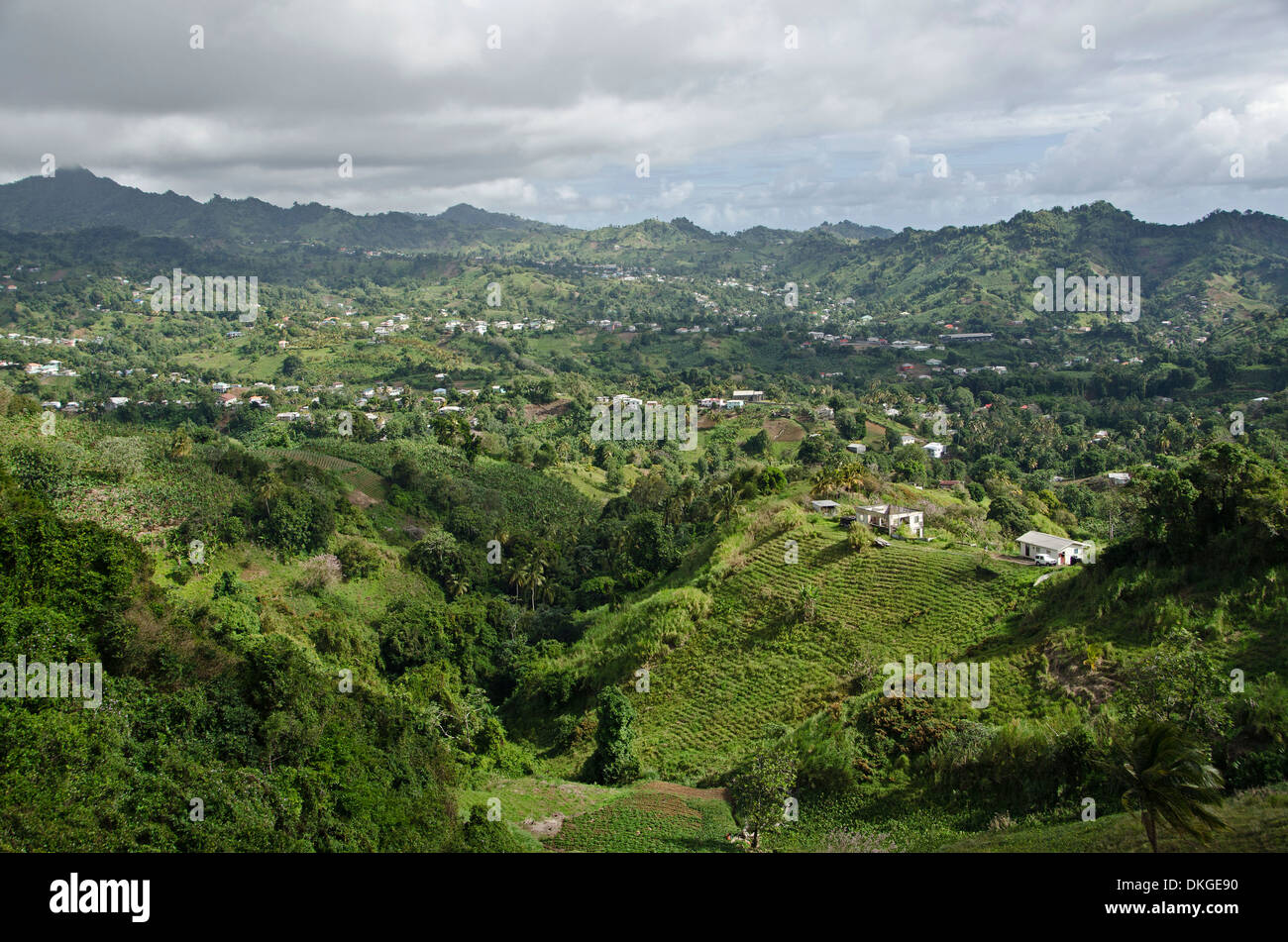 Saint-Vincent, Grenadinen, Windward-Inseln, kleine Antillen, Antillen, Karibik, Amerika Stockfoto