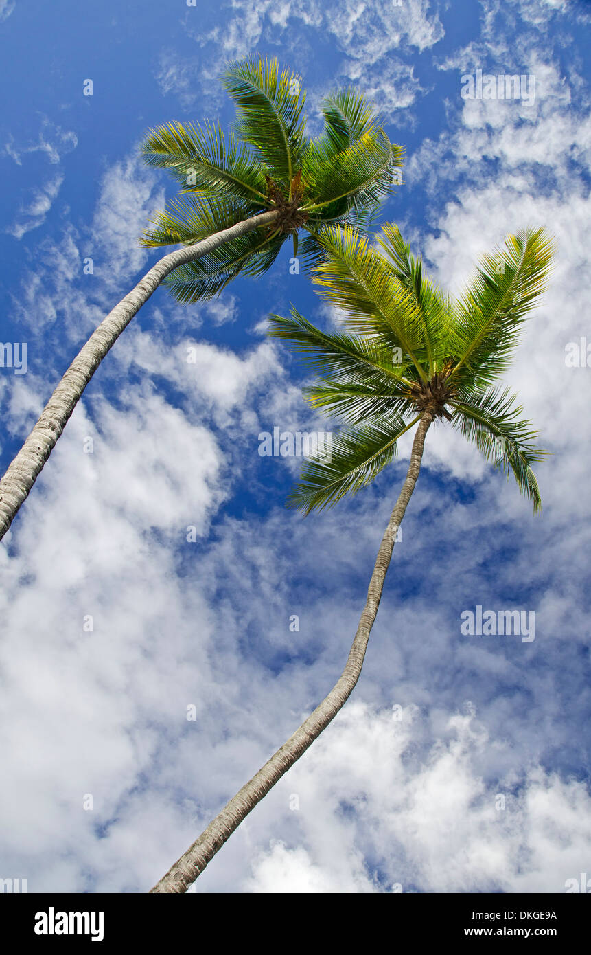Grand Anse Beach, Grenada, Windward-Inseln, kleine Antillen, Antillen, Karibik, Amerika Stockfoto