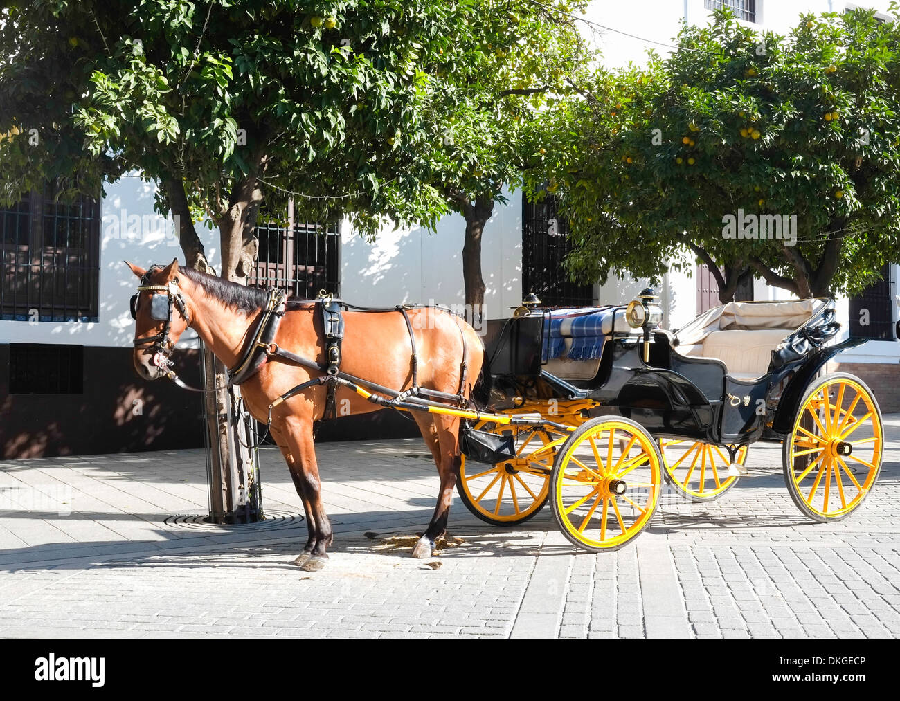 Pferdekutsche in Sevilla, Andalusien, Spanien Stockfoto