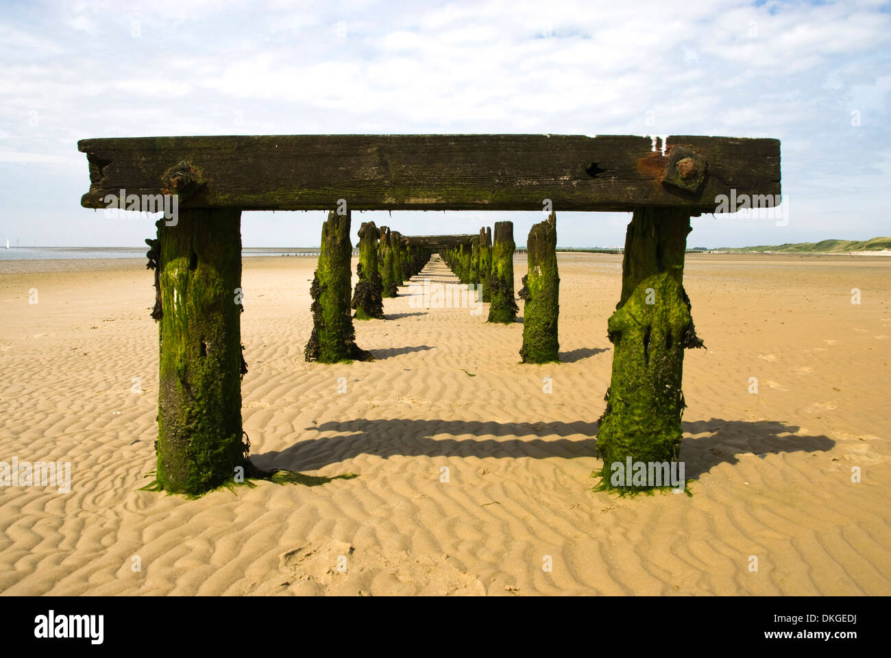 Wadden Sea, Wangerroge, Niedersachsen, Deutschland, Europa Stockfoto