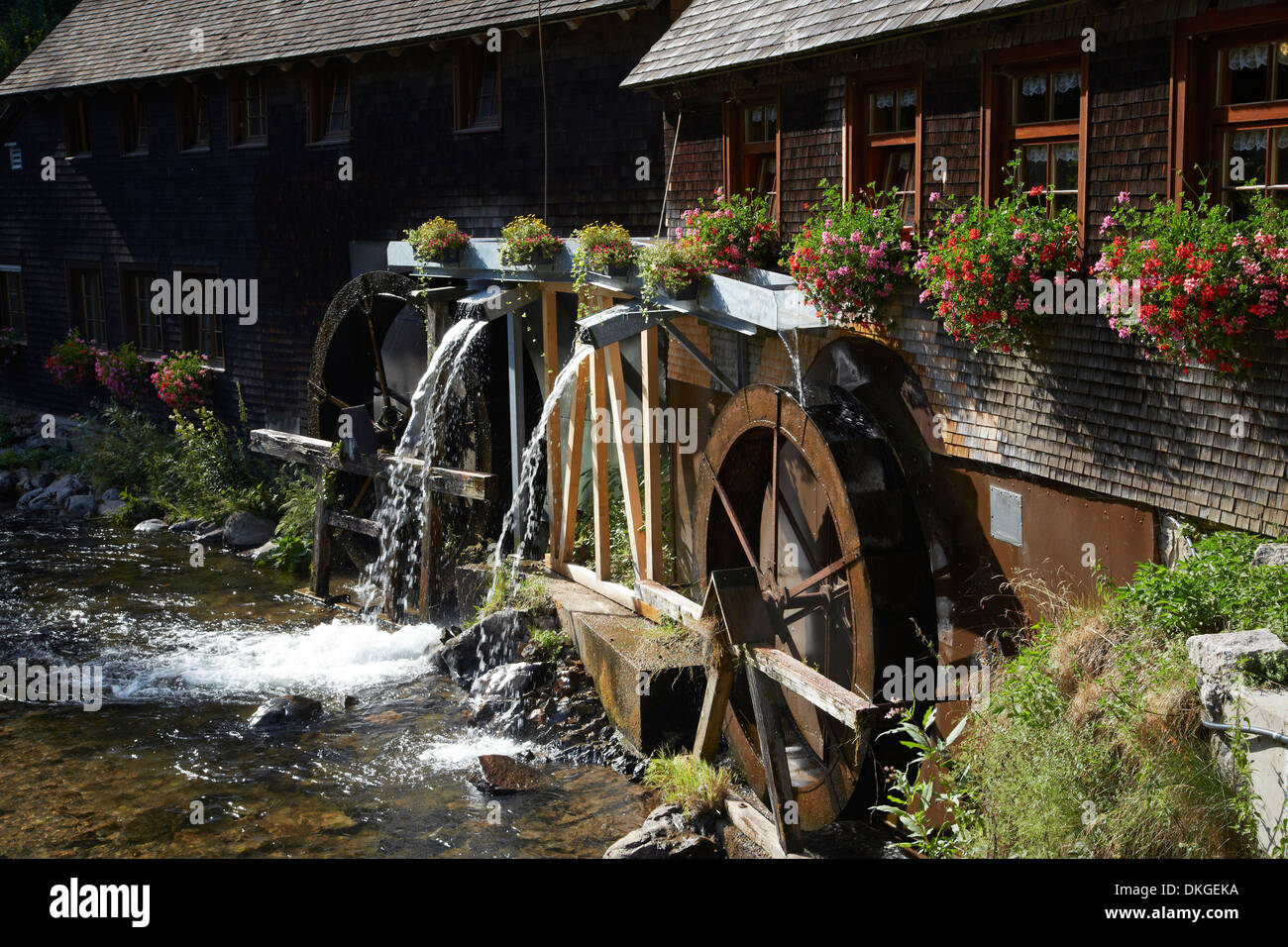 Hexenloxh Mühle im Schwarzwald, Baden-Württemberg, Deutschland Stockfoto