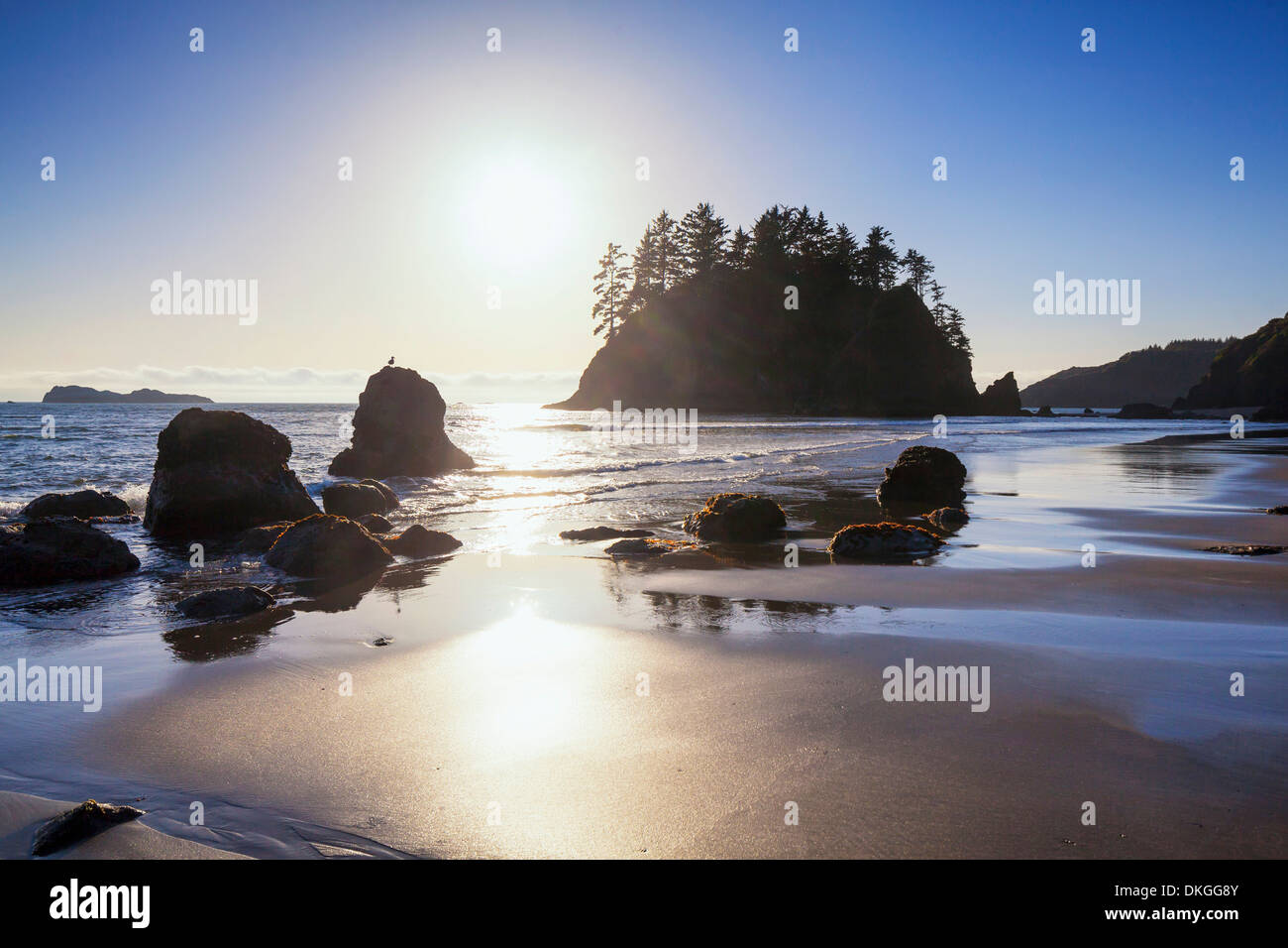 Trinidad State Beach bei Sonnenuntergang, Humboldt County, Kalifornien, USA Stockfoto