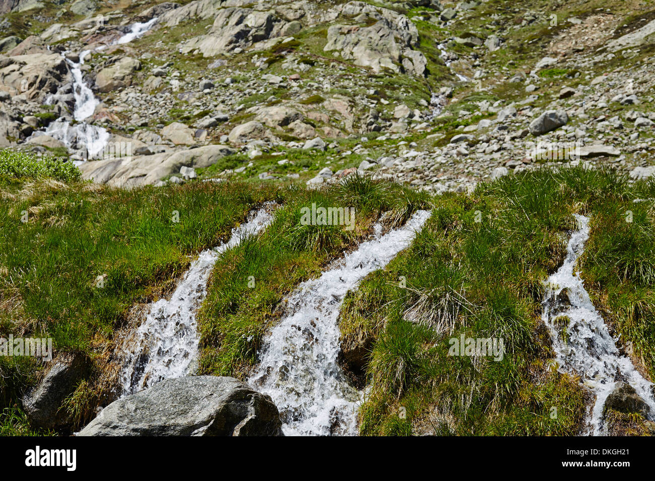Lauteraar Gletscher, Wasser zwischen Rasen in alpiner Landschaft, Berner Oberland, Schweiz Stockfoto