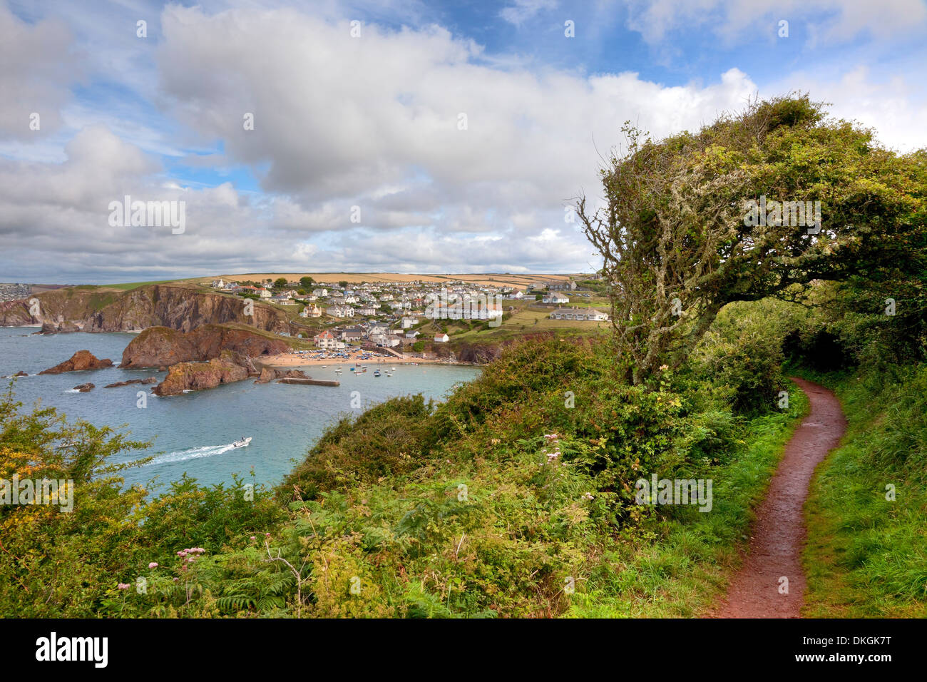 Mit Blick auf den beliebten Badeort Hope Cove, Devon, England. Stockfoto