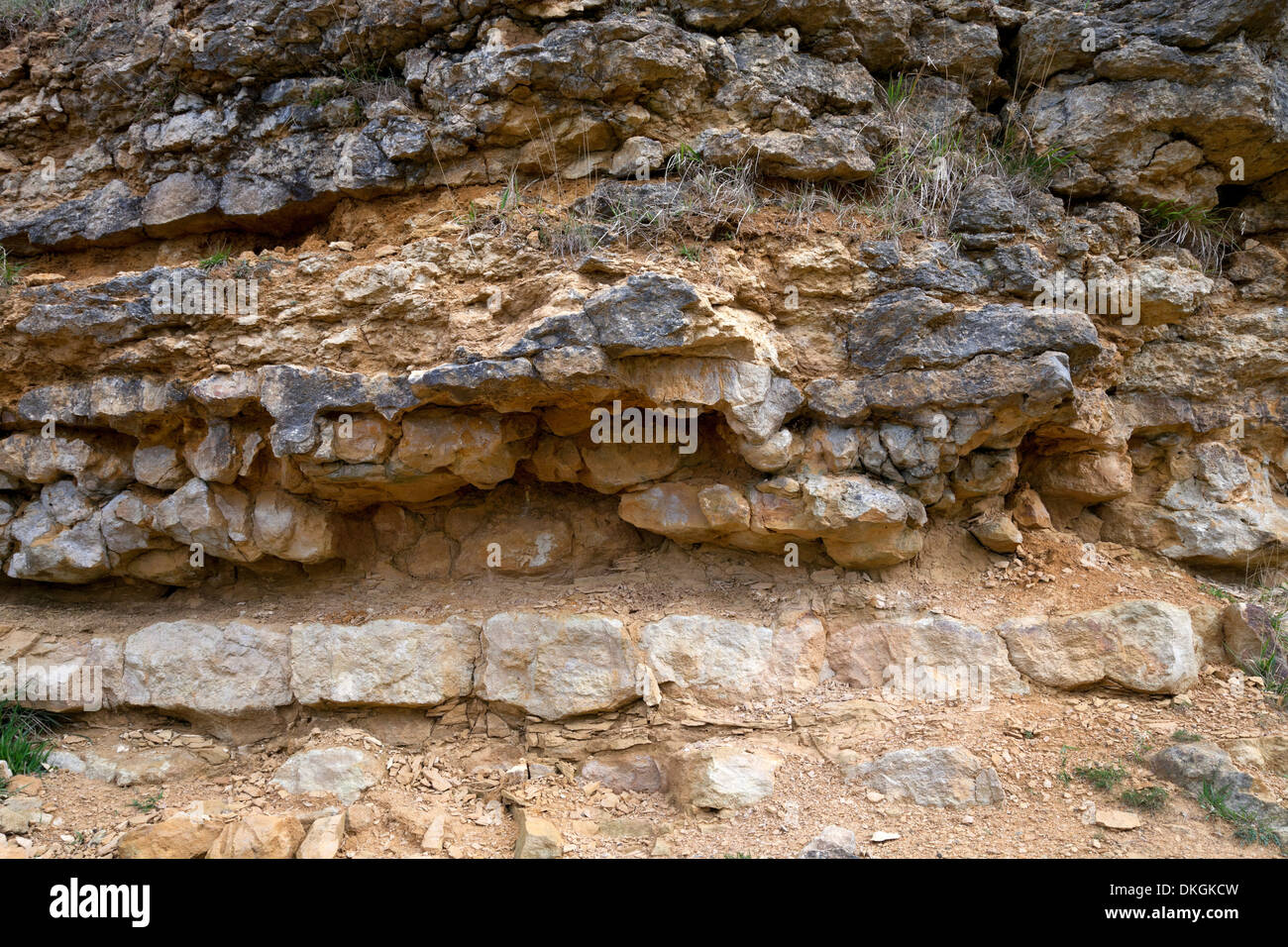 Jurassic Felsformation an Cleeve Common in der Nähe von Cheltenham, Gloucestershire, England. Stockfoto