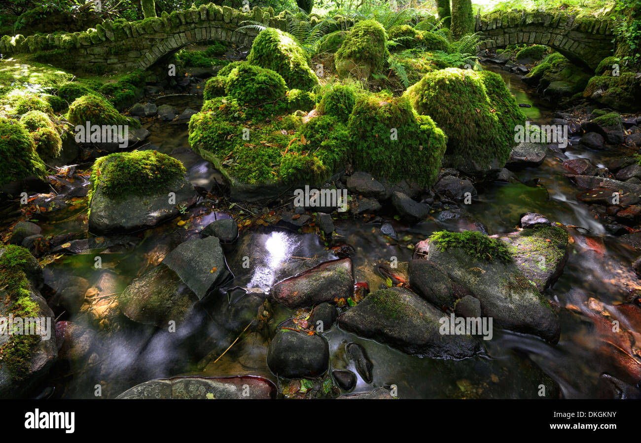 Moos bedeckte Felsen einzelne Span Steinbogen Brücken über Stream gegabelten Kilfane Glen und Gärten Kilkenny Irland Stockfoto