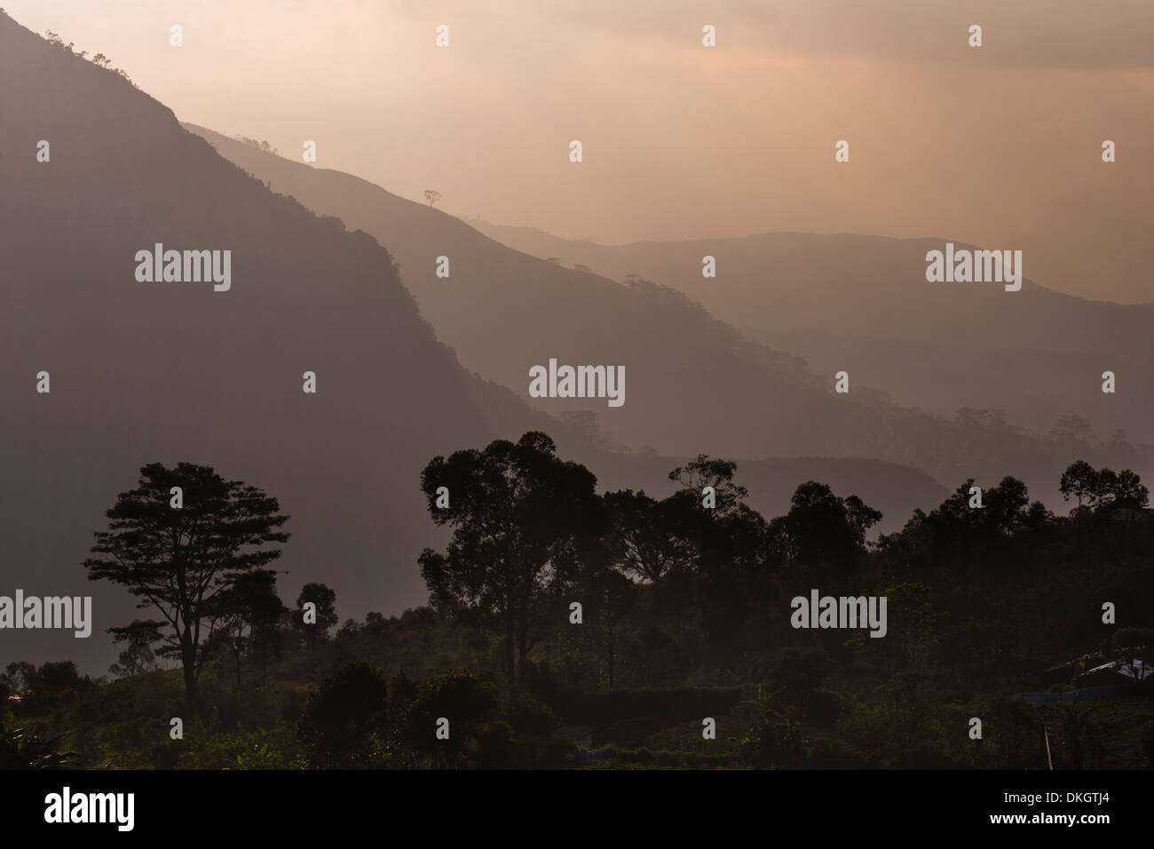 Misty Mountain Sunrise, Hügelland Haputale, Sri Lanka, Nuwara Eliya Distrikt, Sri Lanka, Asien Stockfoto