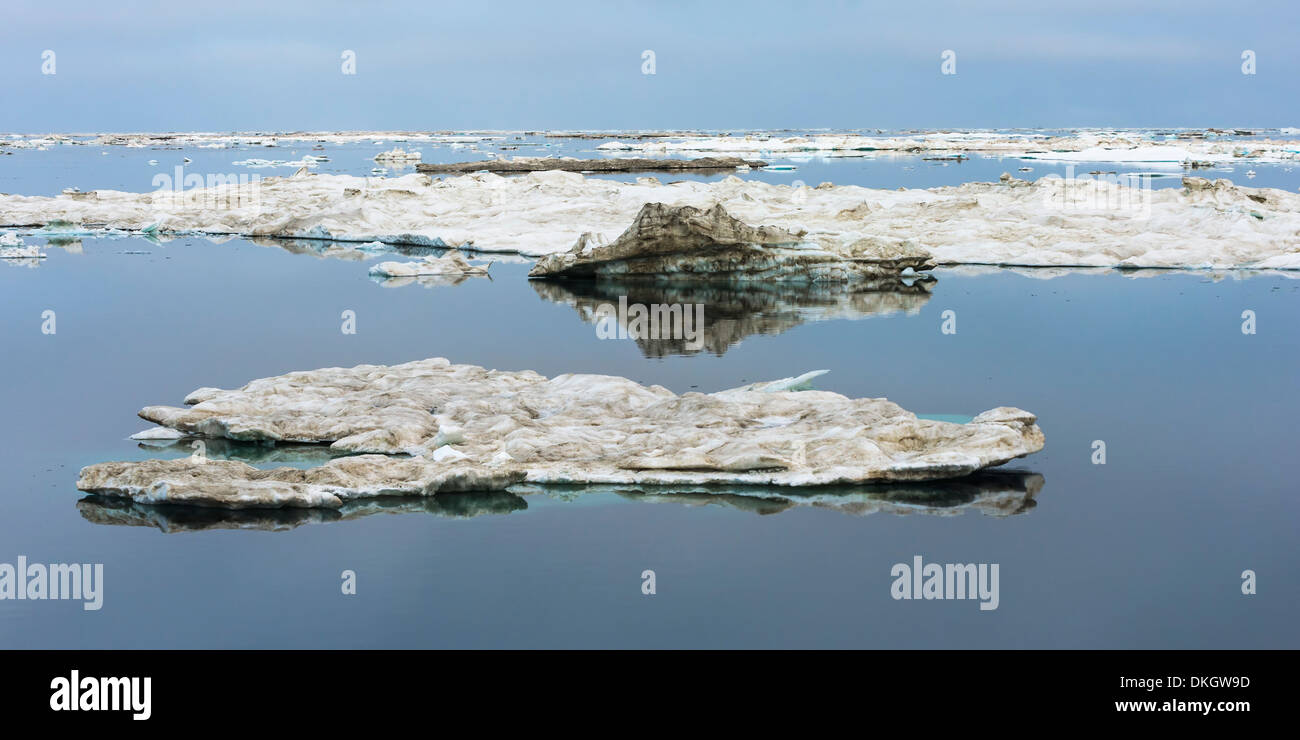 Cape Waring, Wrangel Island, UNESCO World Heritage Site, Chuckchi Meer, Tschukotka, russischen Fernen Osten, Russland, Eurasien Stockfoto