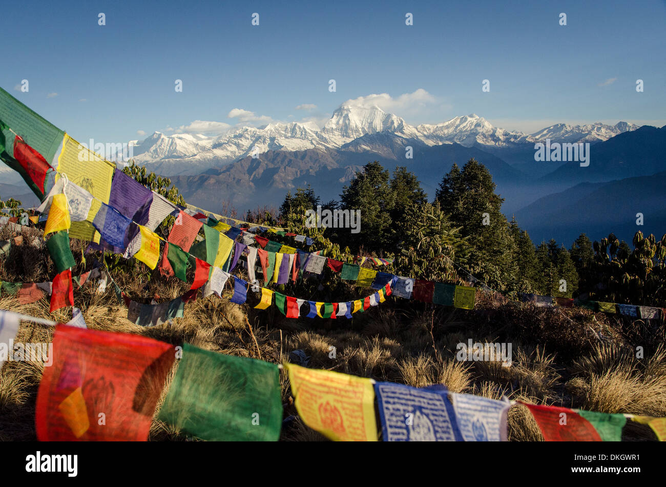Die Aussicht vom Poon Hill mit Gebetsfahnen im Vordergrund, Annapurna Conservation Area, Nepal Stockfoto
