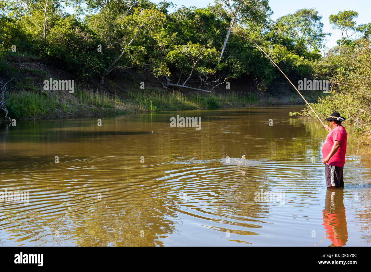 Angeln im Pantanal, UNESCO World Heritage Site, Brasilien, Südamerika Stockfoto