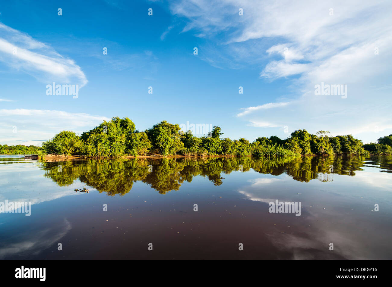 UNESCO-Welterbe, Pantanal, Brasilien Stockfoto