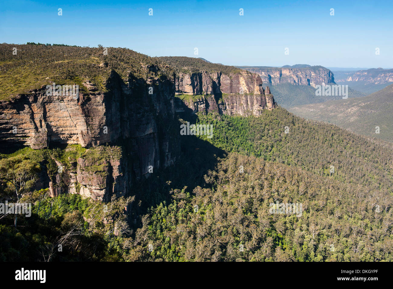 Blue Mountains, New South Wales, Australien, Pazifik Stockfoto