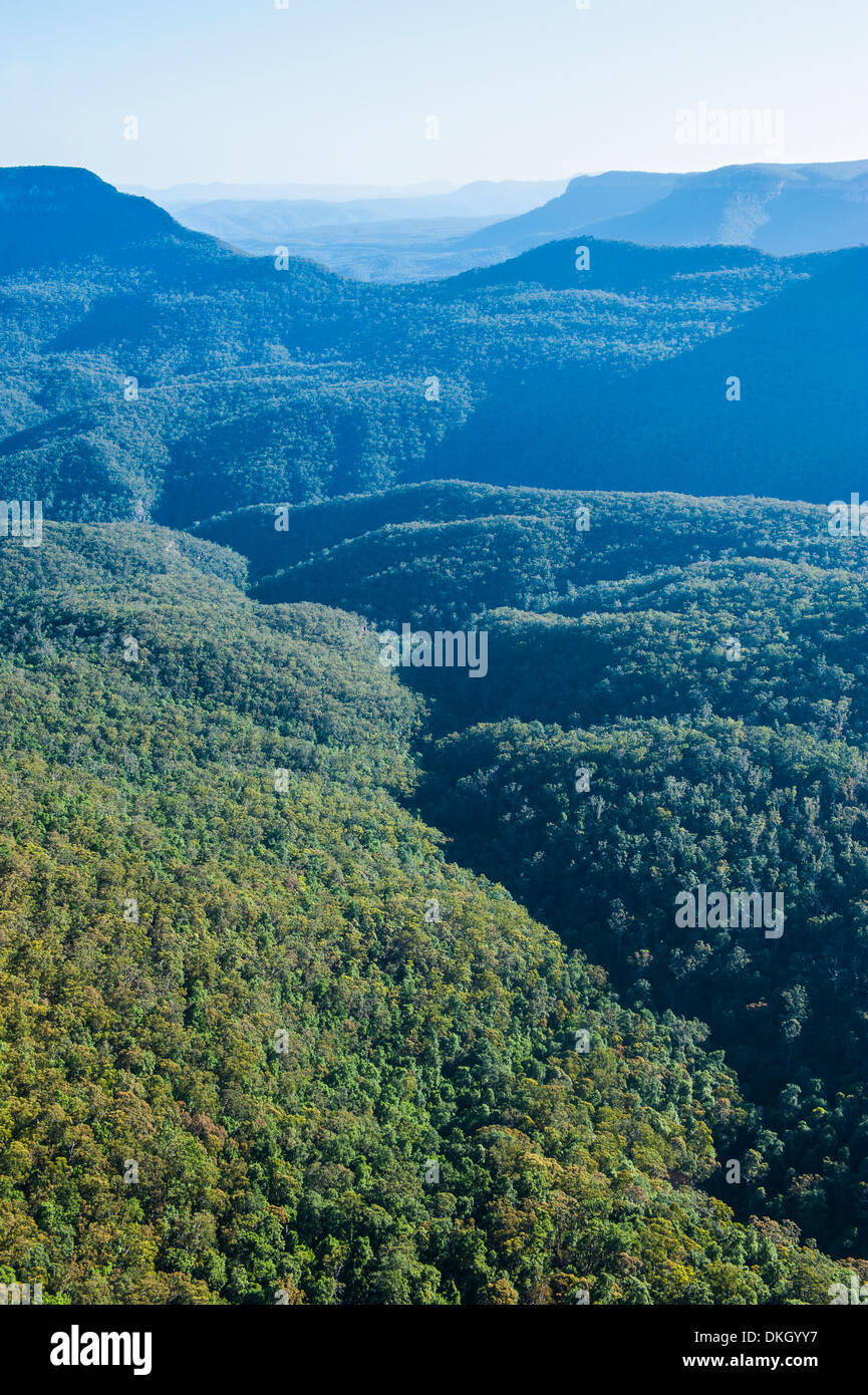 Blue Mountains, New South Wales, Australien, Pazifik Stockfoto