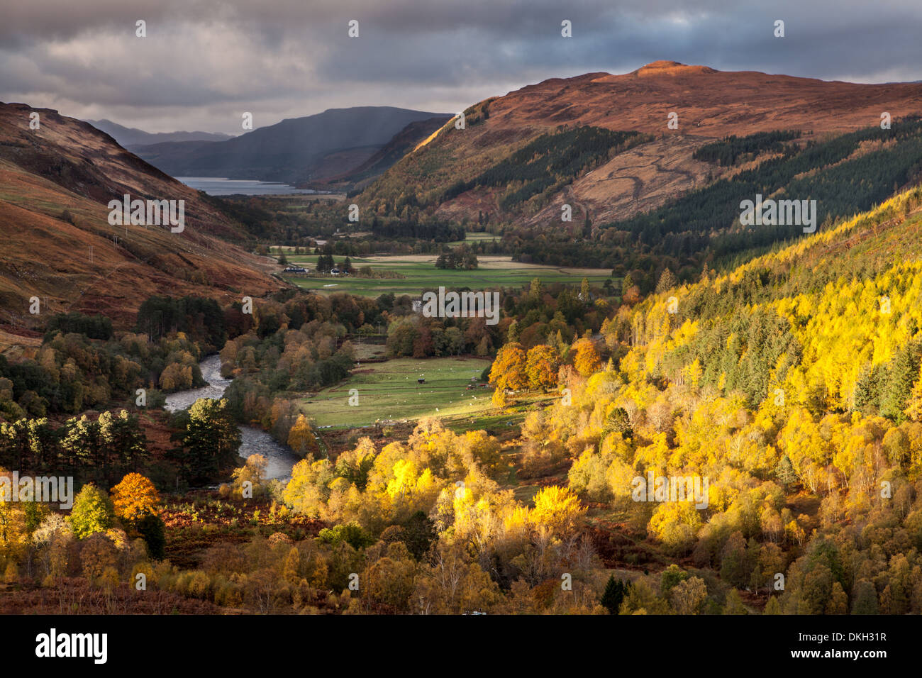 Inverlael Wald und Strath, Wester Ross, Highlands, Schottland Stockfoto