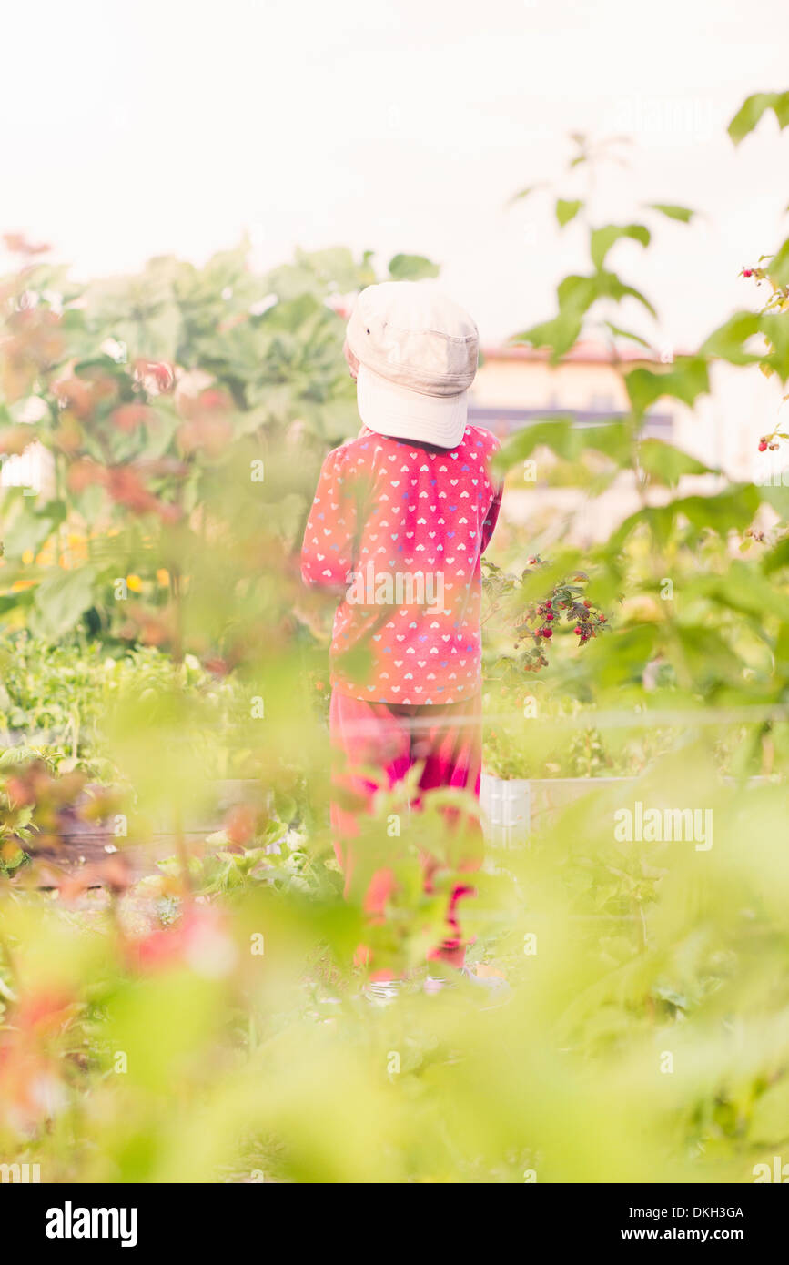 Rückansicht des jungen Kindes stehen im Garten beobachten grüne Pflanzen und Blumen Stockfoto