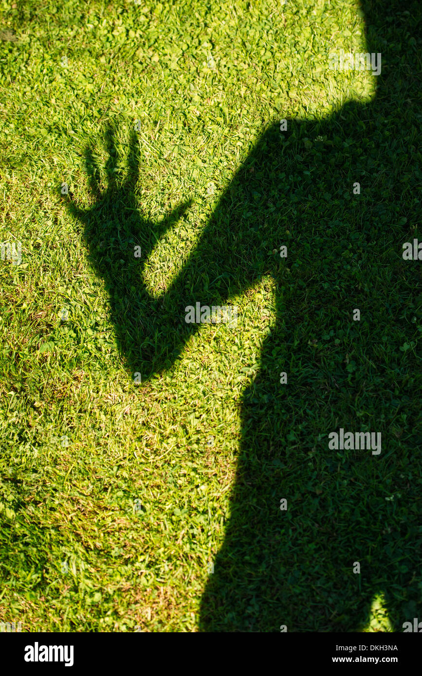 Schatten Sie auf dem grünen Rasen ein Mann hält seine Hand Stockfoto