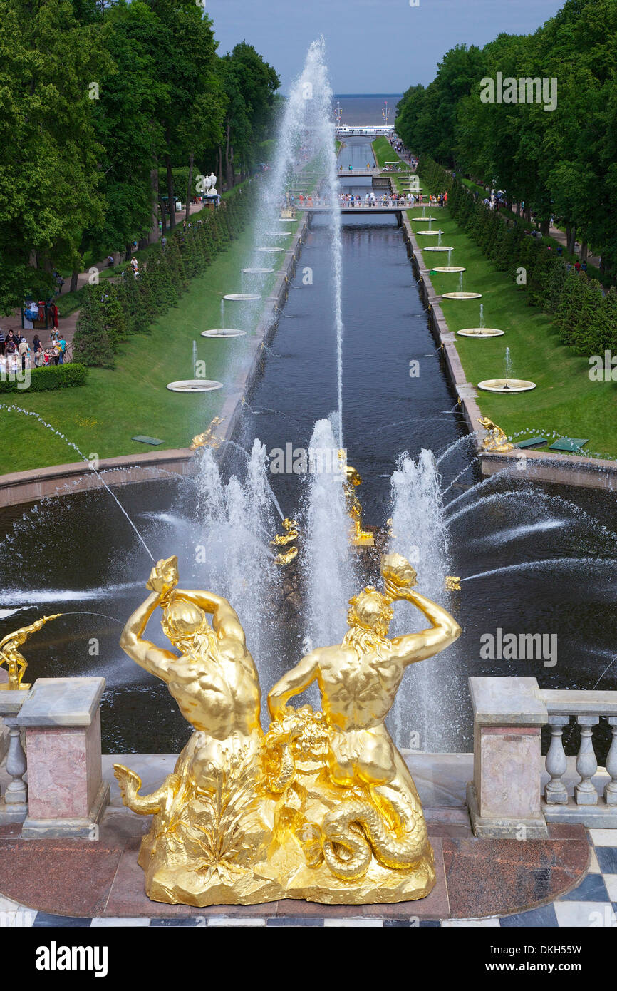 Peterhof Brunnen auf die große Kaskade und die Gärten im Sommer, Peterhof, St. Petersburg, Russland, Europa Stockfoto