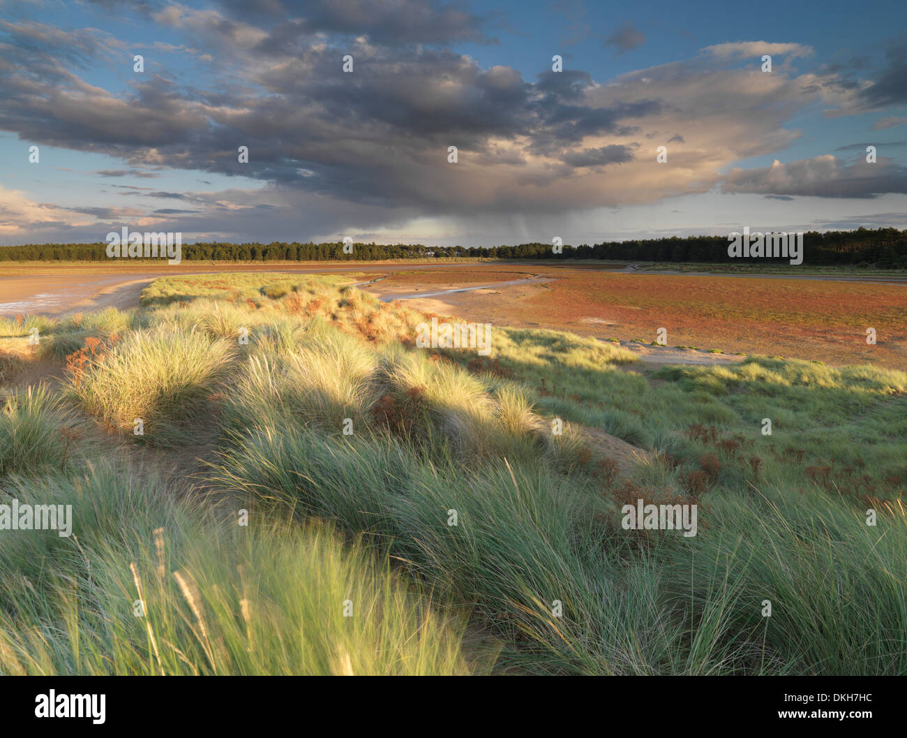 Gewitterhimmel an einem späten Sommerabend am Holkham Bay, Norfolk, England, Vereinigtes Königreich, Europa Stockfoto