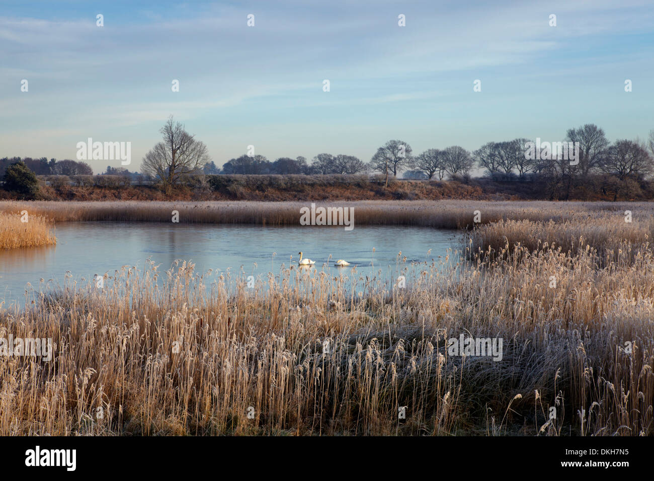 Winter-Szene in den Norfolk Broads in der Nähe von Ludham Brücke, Norfolk, Großbritannien, Europa Stockfoto