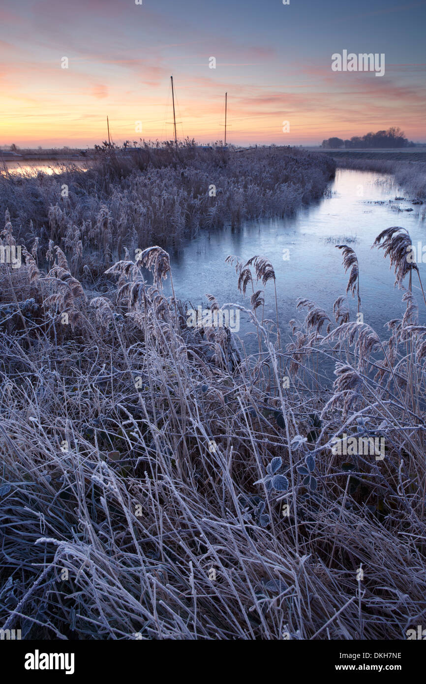 Winter-Szene in den Norfolk Broads in der Nähe von Ludham Brücke, Norfolk, Großbritannien, Europa Stockfoto