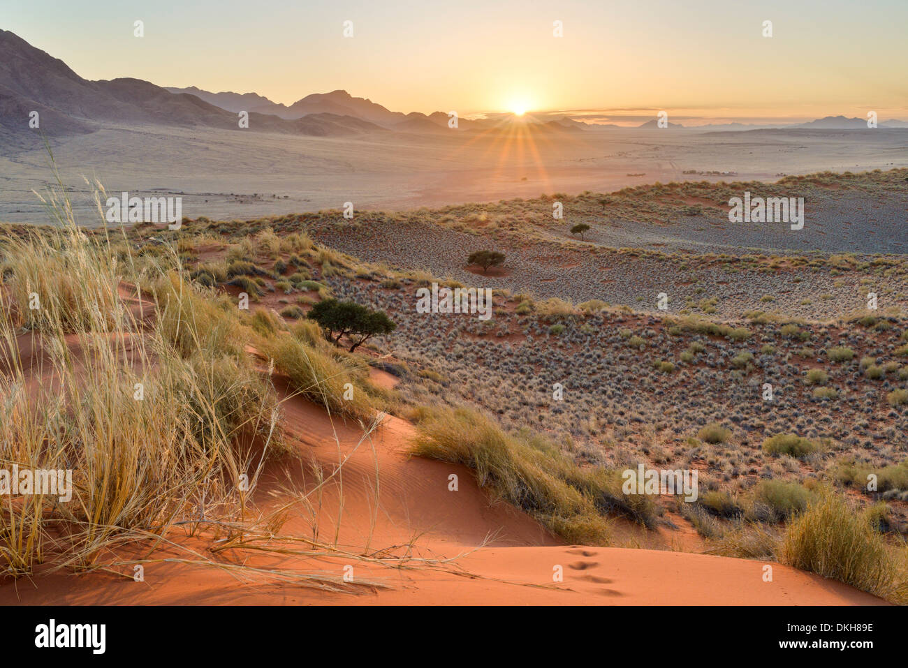 Sonnenaufgang von den Dünen des NamibRand, Namib-Wüste, Namibia, Afrika Stockfoto