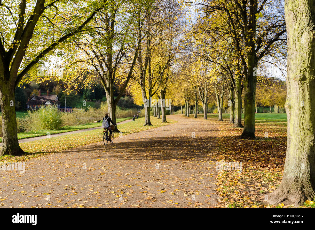 Radfahrer auf einem Pfad entlang des Flusses Severn in Quarry Park, Shrewsbury Stockfoto