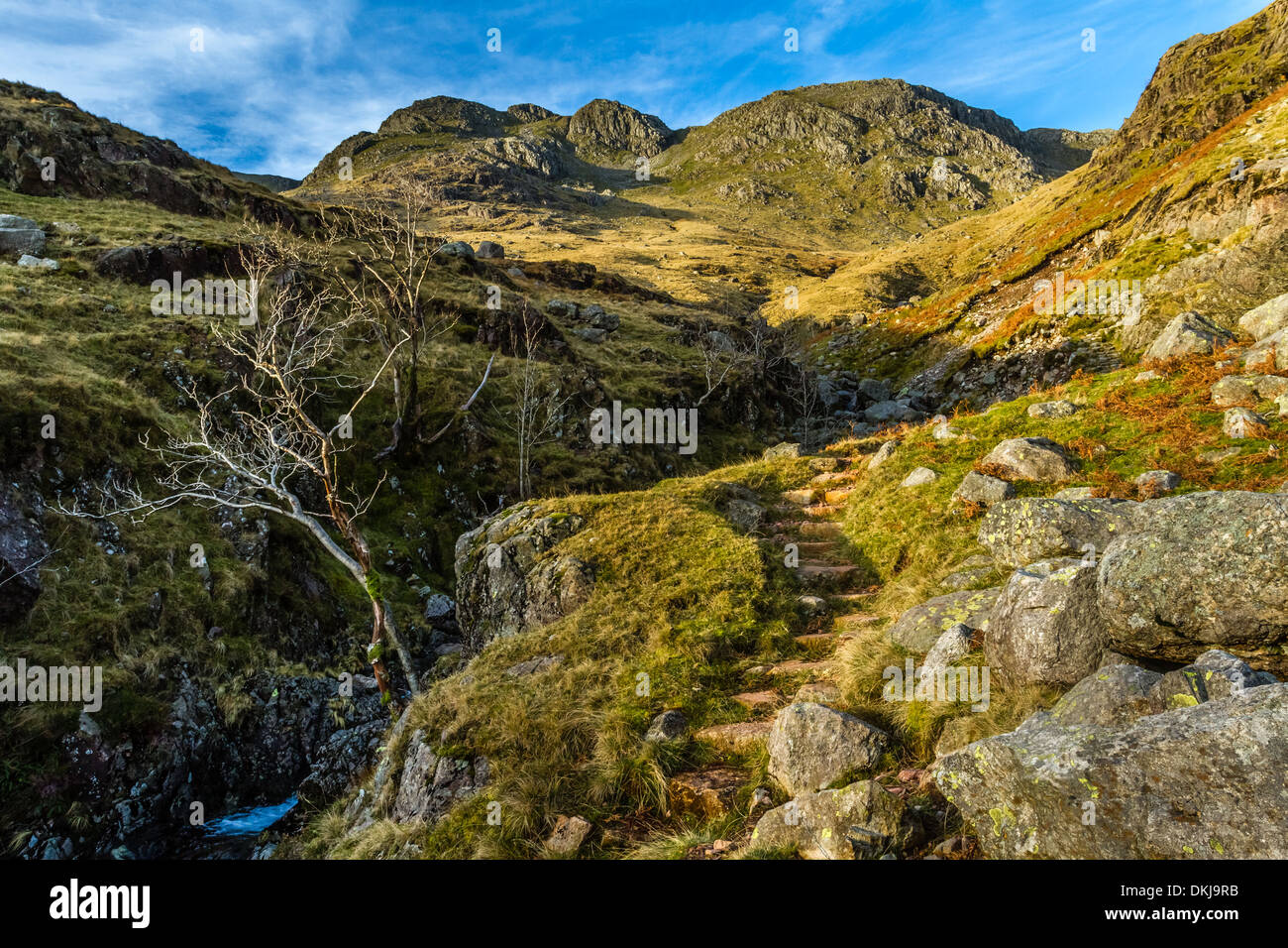 Treppenweg, der Hell Ghyll hinauf in Richtung Crinkle Crags Above und Bowfell (außer Sichtweite) führt, englischer Lake District, britische Landschaft Stockfoto