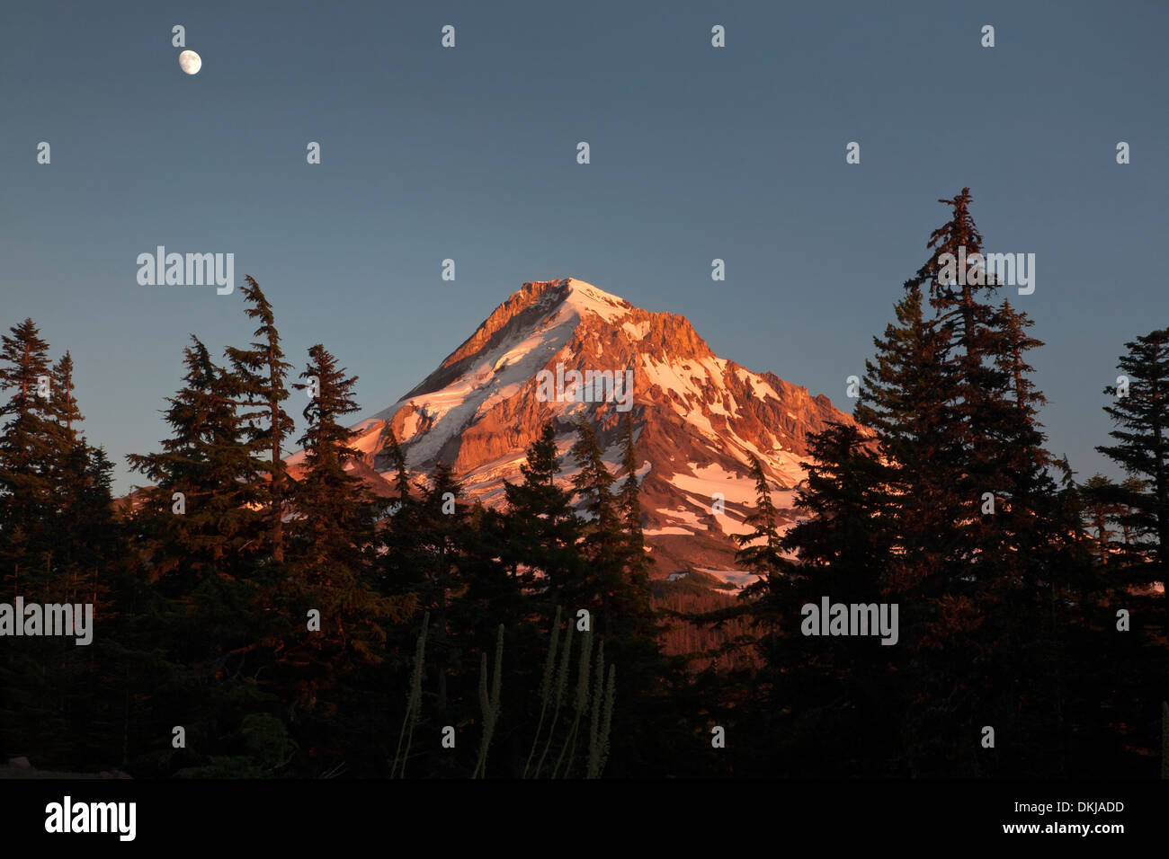OREGON - Mount Hood bei Sonnenuntergang im Mount Hood National Forest. Stockfoto