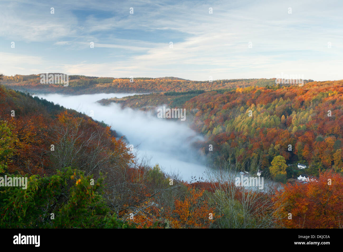 Wye Valley und Forest of Dean im Herbst. Gloucestershire/Herefordshire Grenze. England. VEREINIGTES KÖNIGREICH. Stockfoto