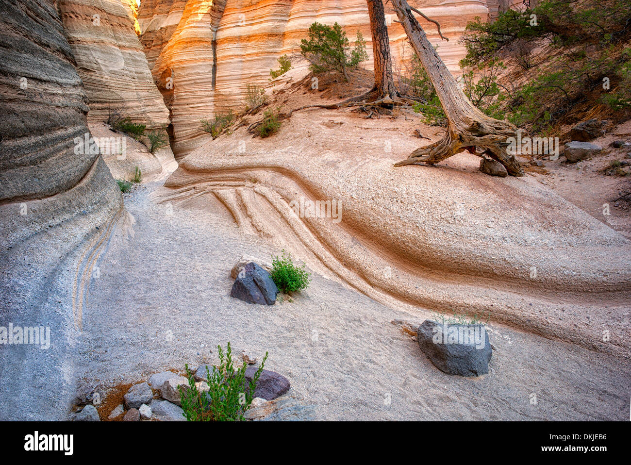 New-Mexico Kasha-Katuwe Zelt Rocks Nationalmonument Stockfoto